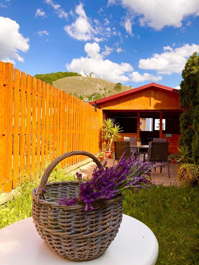 Guesthouse Mikulas Mikulov - Free Parking In The City Center Kültér fotó